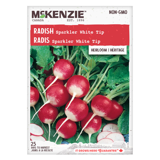 Radish Sparkler White Tip - McKenzie Seeds