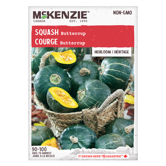 Squash Buttercup - McKenzie Seeds