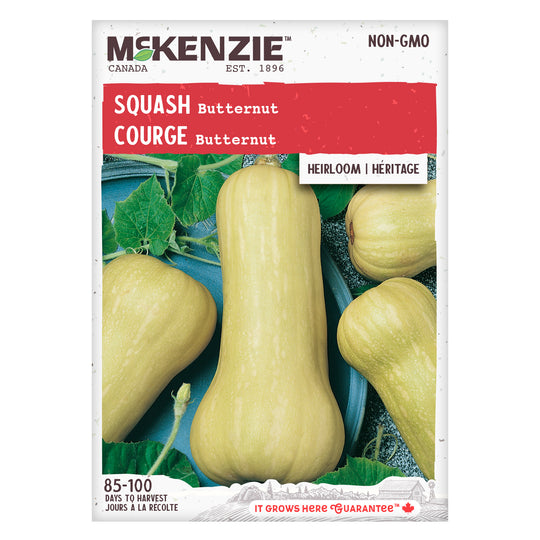 Squash Butternut - McKenzie Seeds