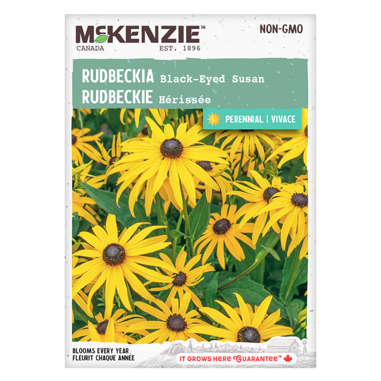 Rudbeckia Black Eyed Susan - McKenzie Seeds