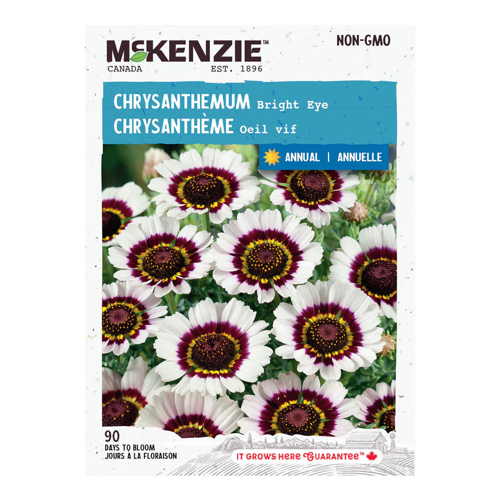 Chrysanthemum Bright Eye - McKenzie Seeds