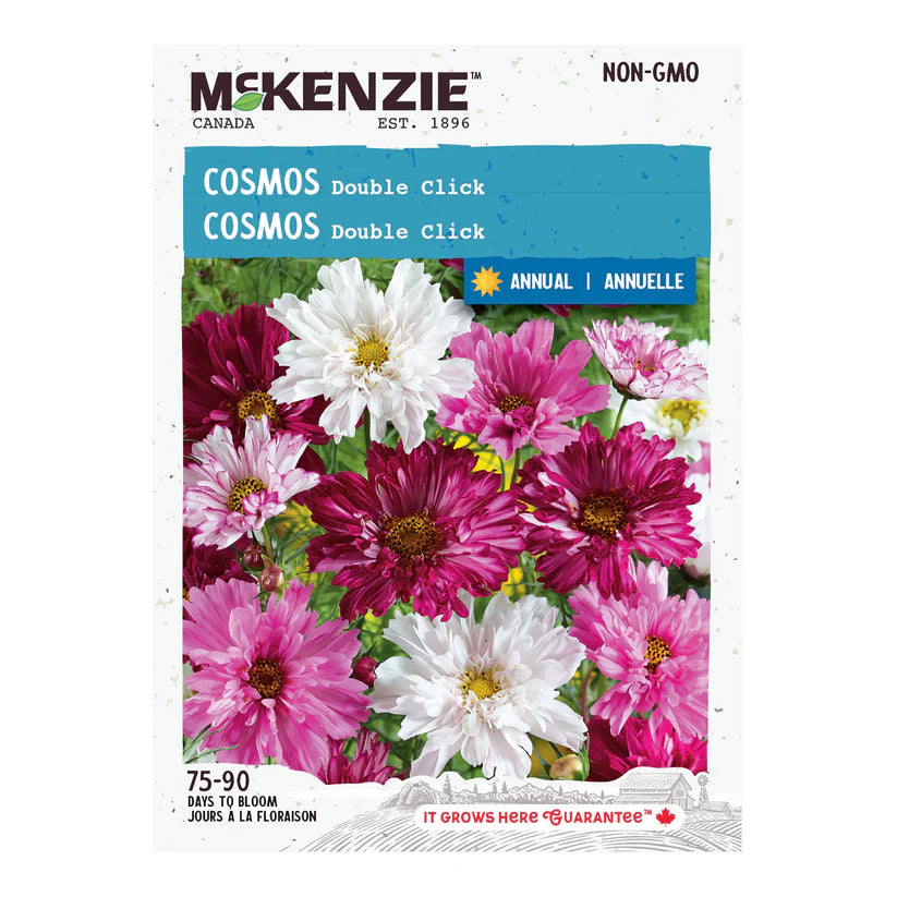 Cosmos Double Click - McKenzie Seeds