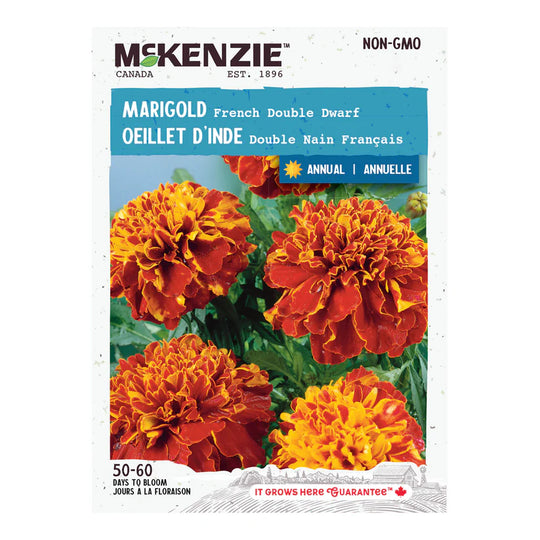 McKenzie Seeds Marigold French Double Dwarf