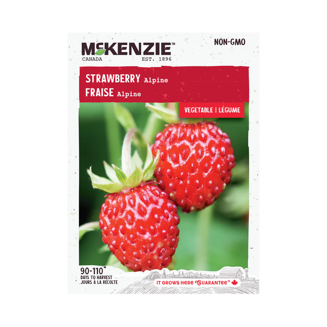 Strawberry Alpine - McKenzie Seeds