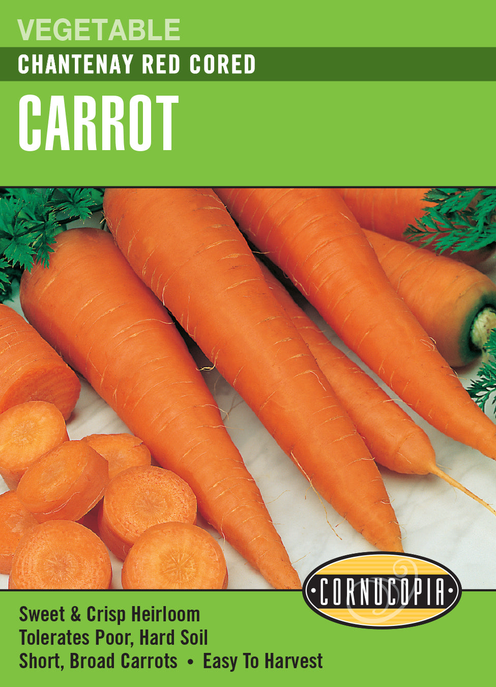 Carrot Chantenay Red Cored - Cornucopia Seeds
