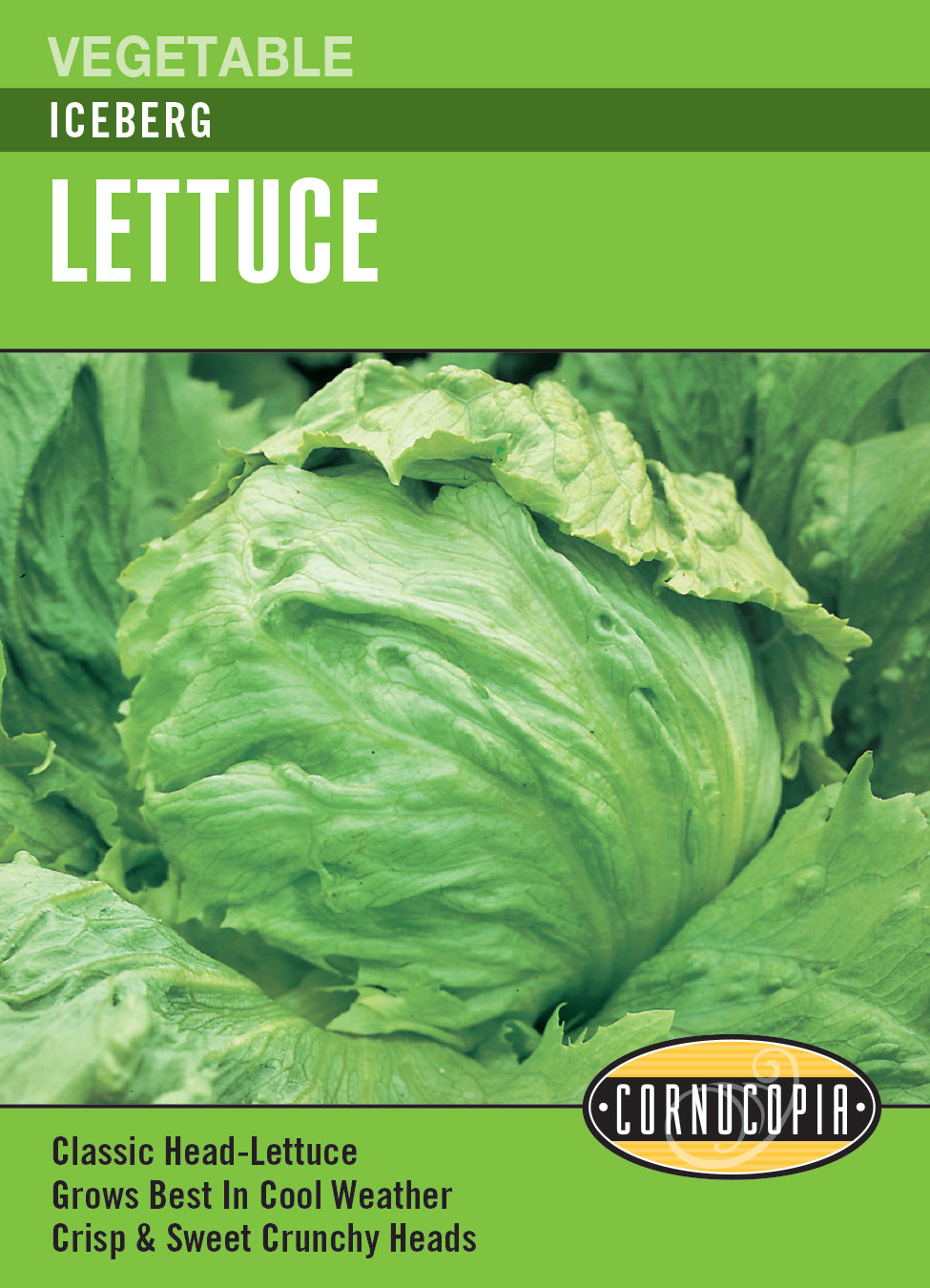 Lettuce Iceberg - Cornucopia Seeds