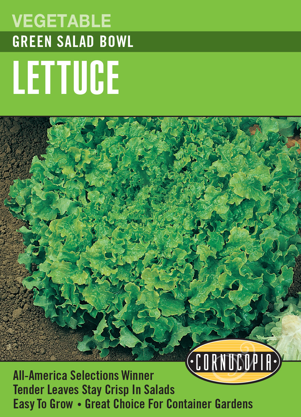 Lettuce Green Salad Bowl - Cornucopia Seeds