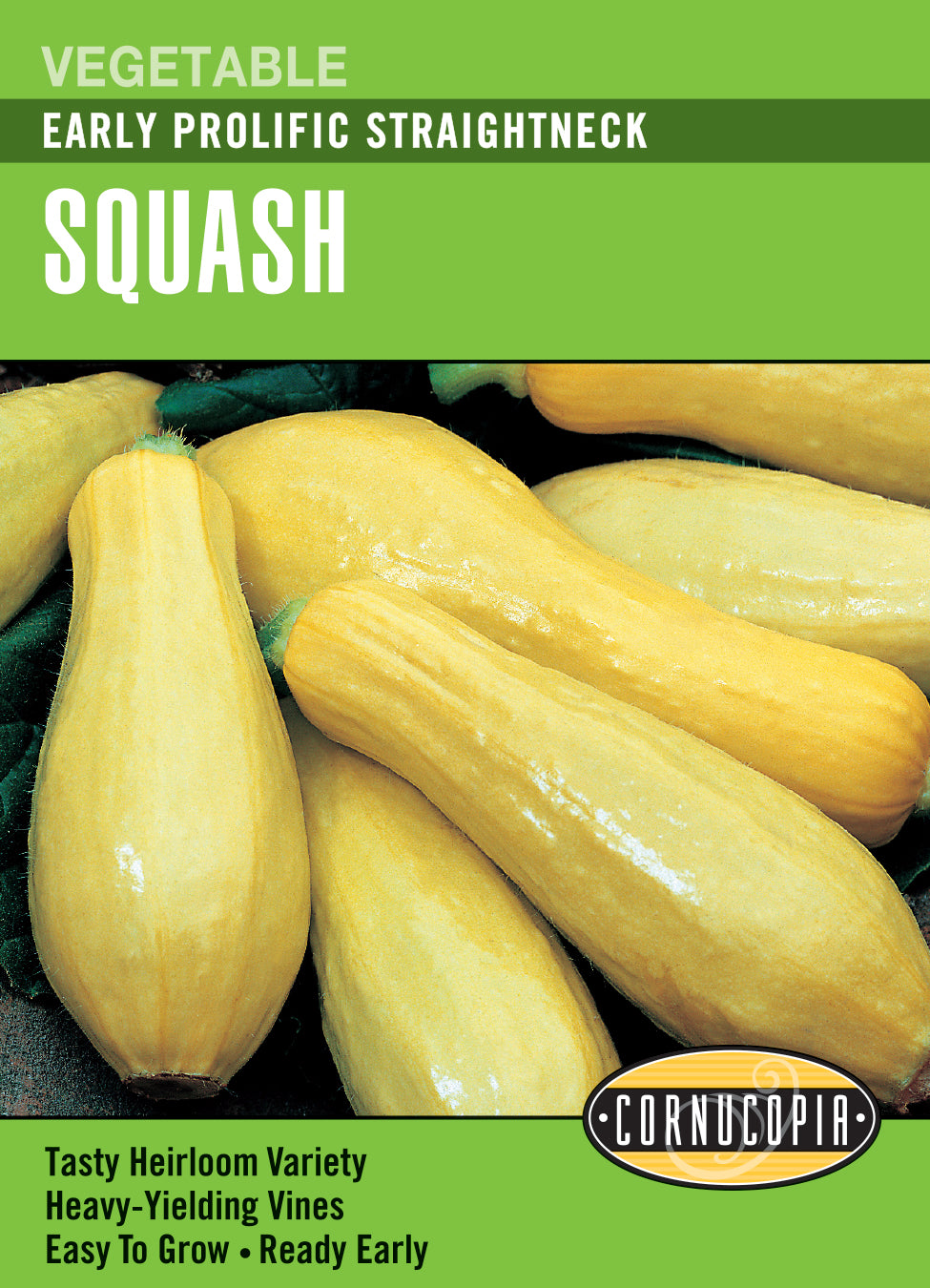 Squash Early Prolific Straightneck - Cornucopia Seeds