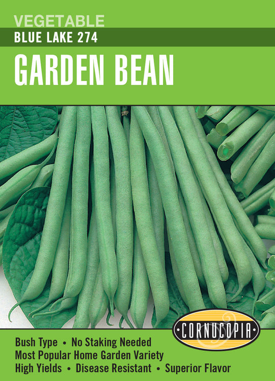 Bean Blue Lake 274 - Cornucopia Seeds
