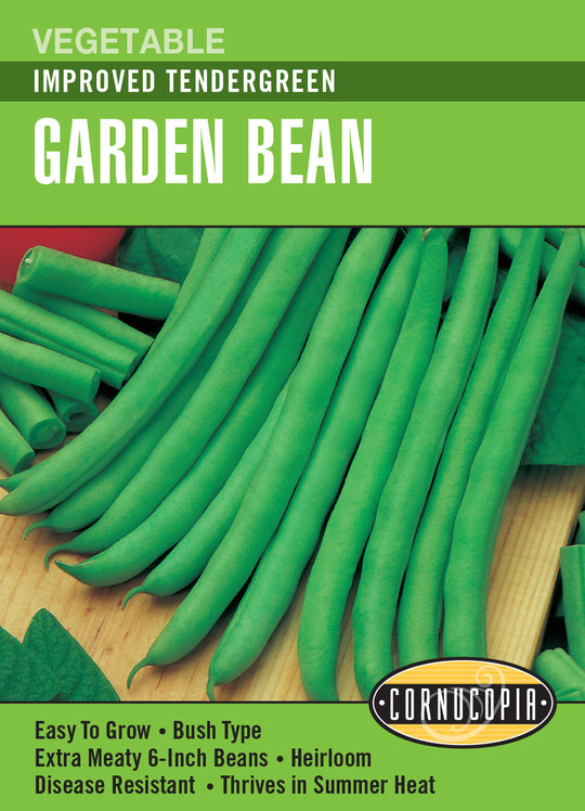 Bean Improved Tendergreen - Cornucopia Seeds