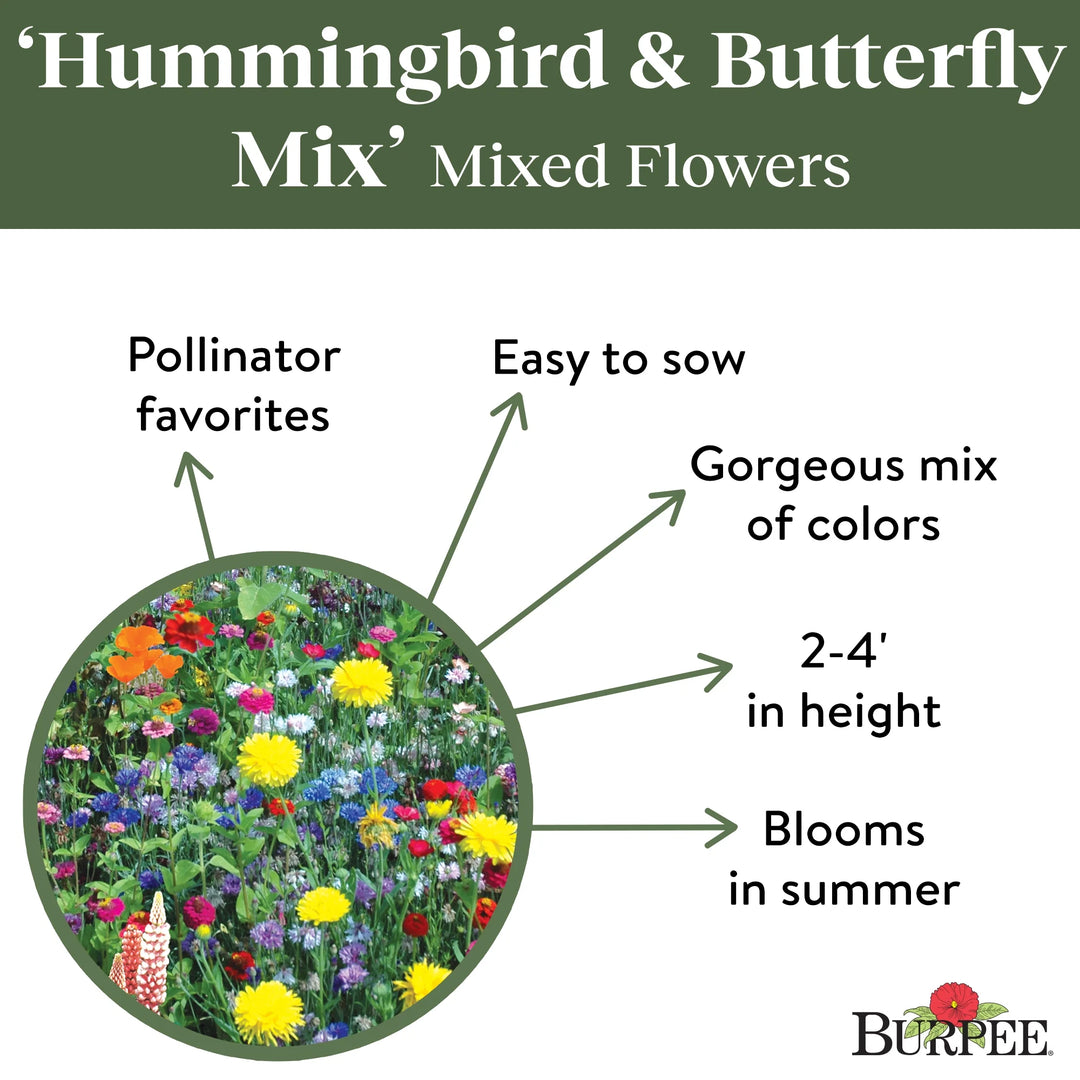 burpee wildflower seed mix for pollinators Mixed Flowers Hummingbird and Butterfly Mix