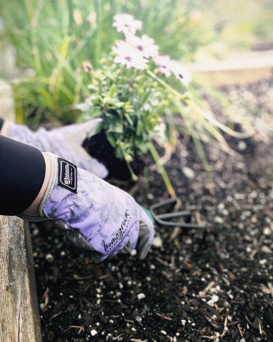 Garden Gloves - Homegrown Sparrow | Woman Sized Gloves