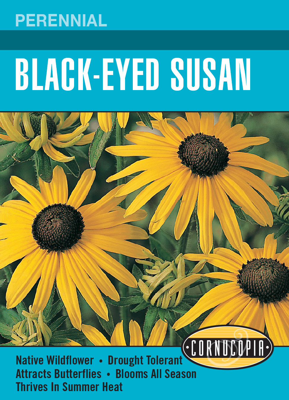 Black-Eyed Susan - Cornucopia Seeds