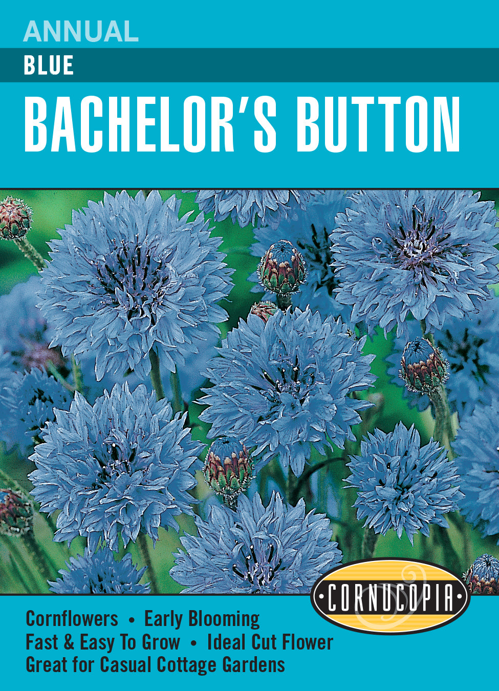 Bachelor's Button Blue - Cornucopia Seeds