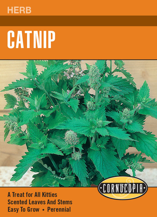 Catnip - Cornucopia Seeds