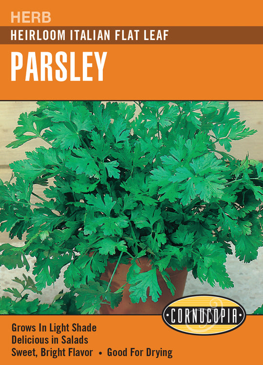 Parsley Italian Flat Leaf - Cornucopia Seeds