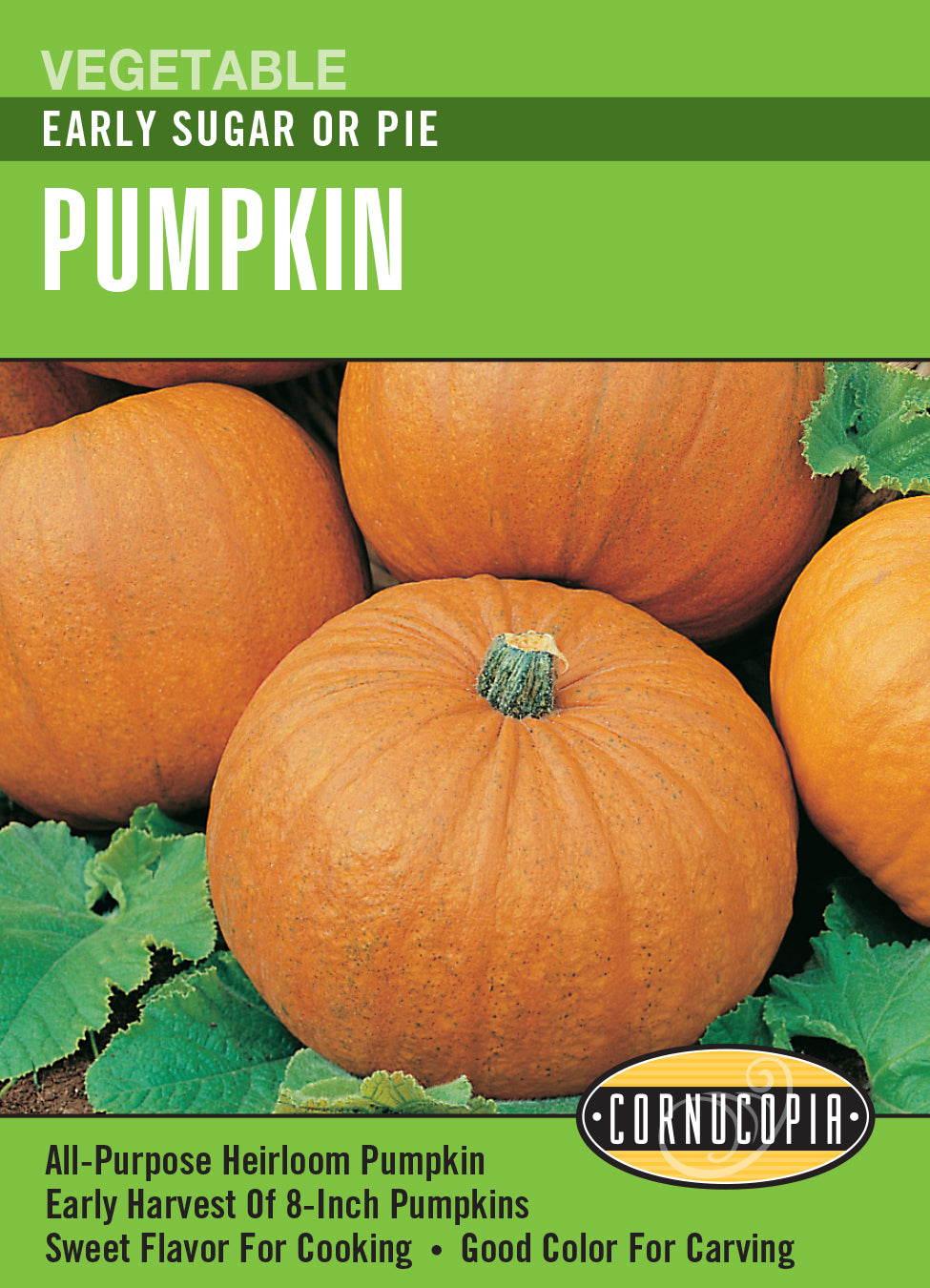 Pumpkin Early Sugar or Pie - Cornucopia Seeds