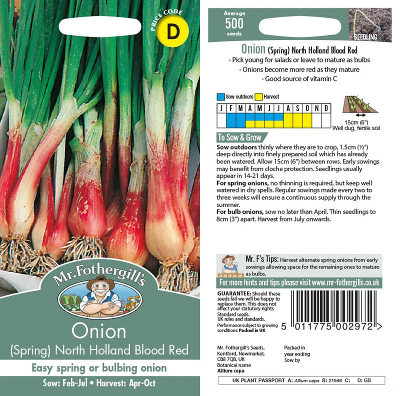 Onion (Spring) North Holland Blood Red - Mr. Fothergill's Seeds