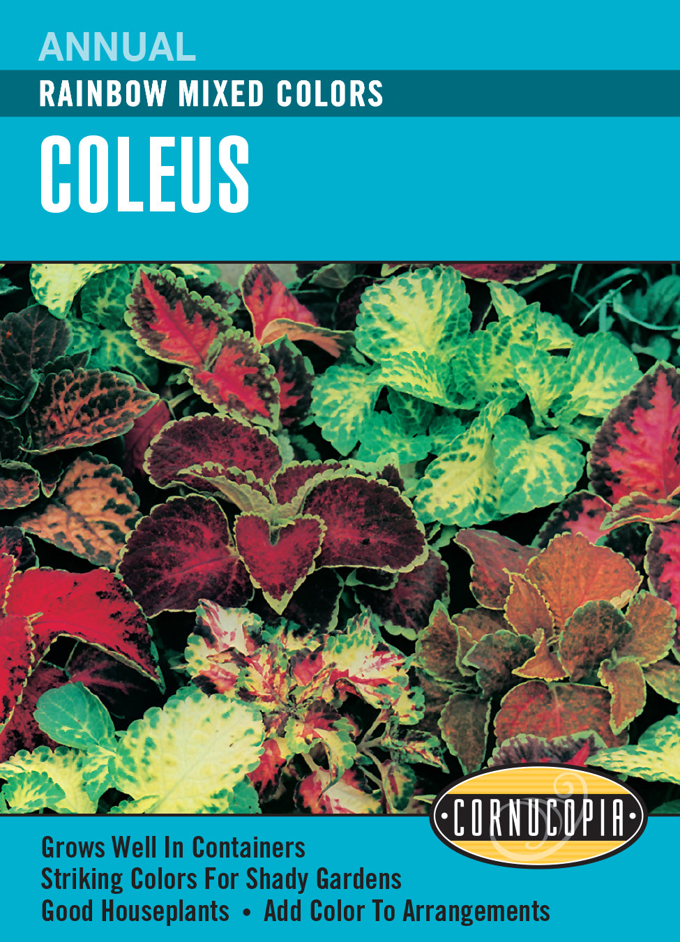 Coleus Rainbow Mixed - Cornucopia Seeds