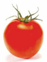 Tomato Bonny Best Improved - Ontario Seed Company