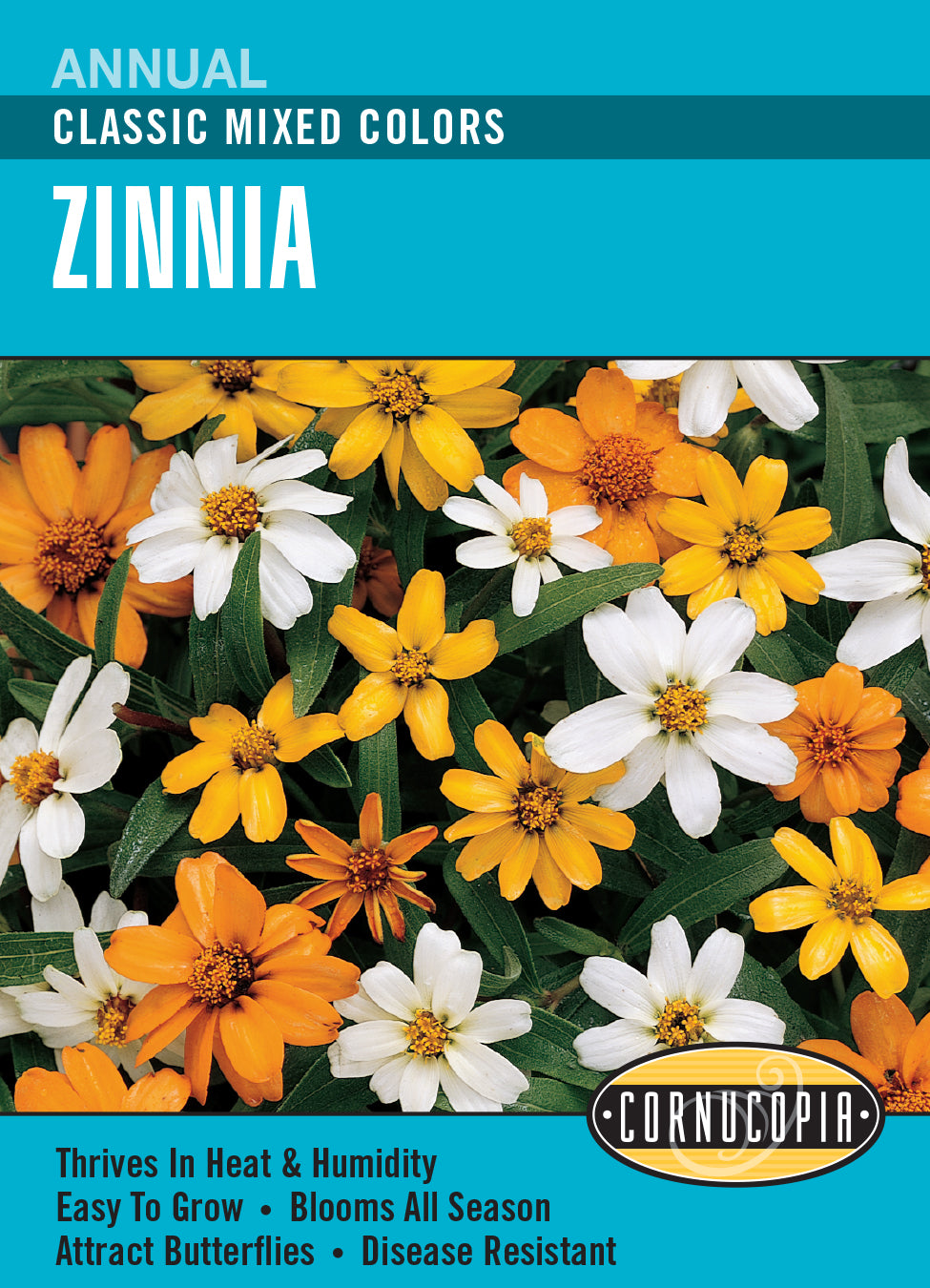 Zinnia Classic Mixed Colours - Cornucopia Seeds