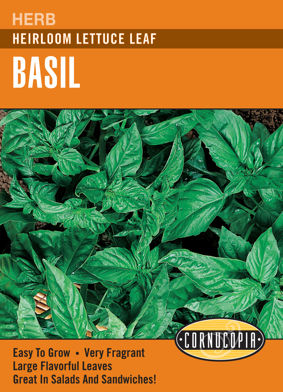 Basil Lettuce Leaf - Cornucopia Seeds