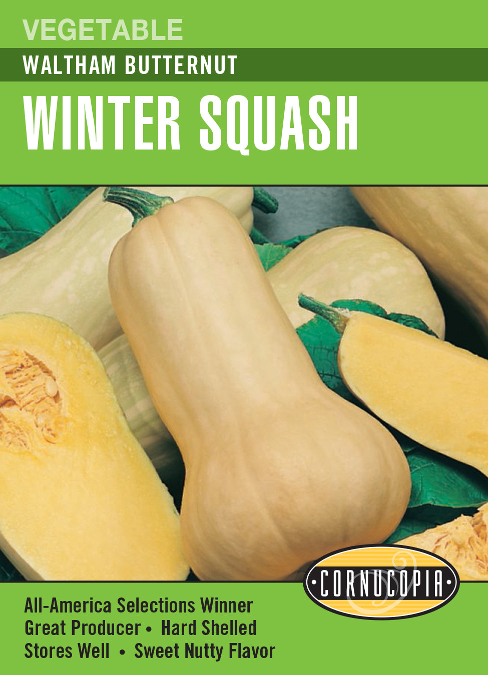 Squash Waltham Butternut - Cornucopia Seeds