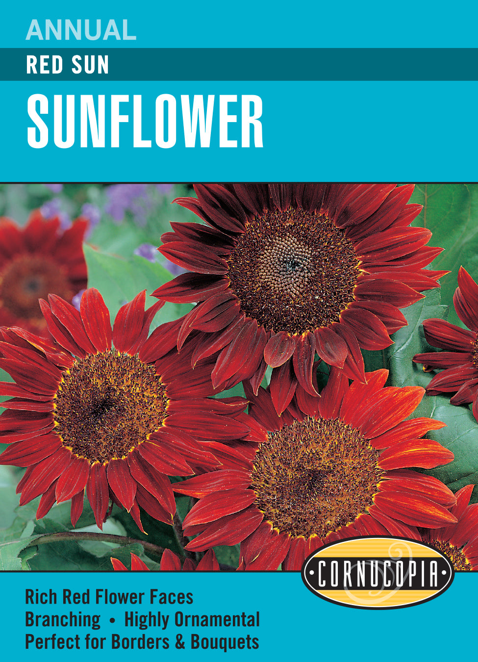 Sunflower Red Sun - Cornucopia Seeds