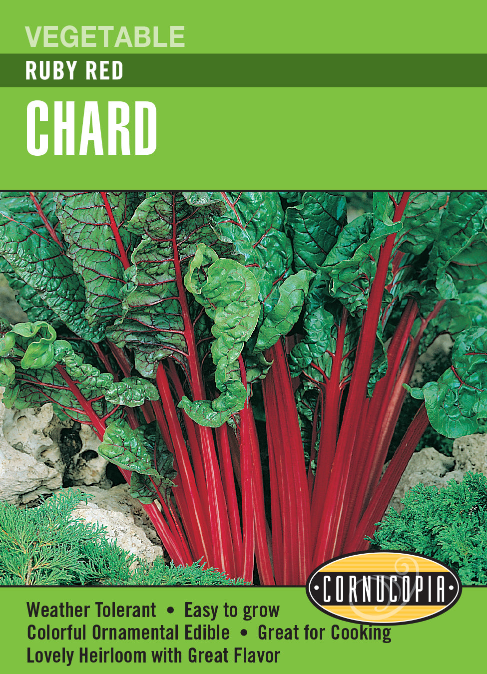 Chard Ruby Red - Cornucopia Seeds