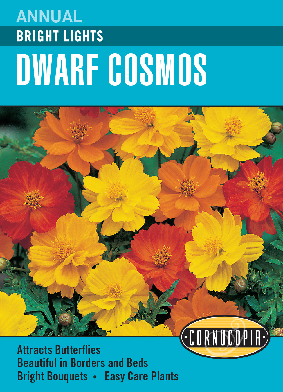 Cosmos Bright Lights - Cornucopia Seeds
