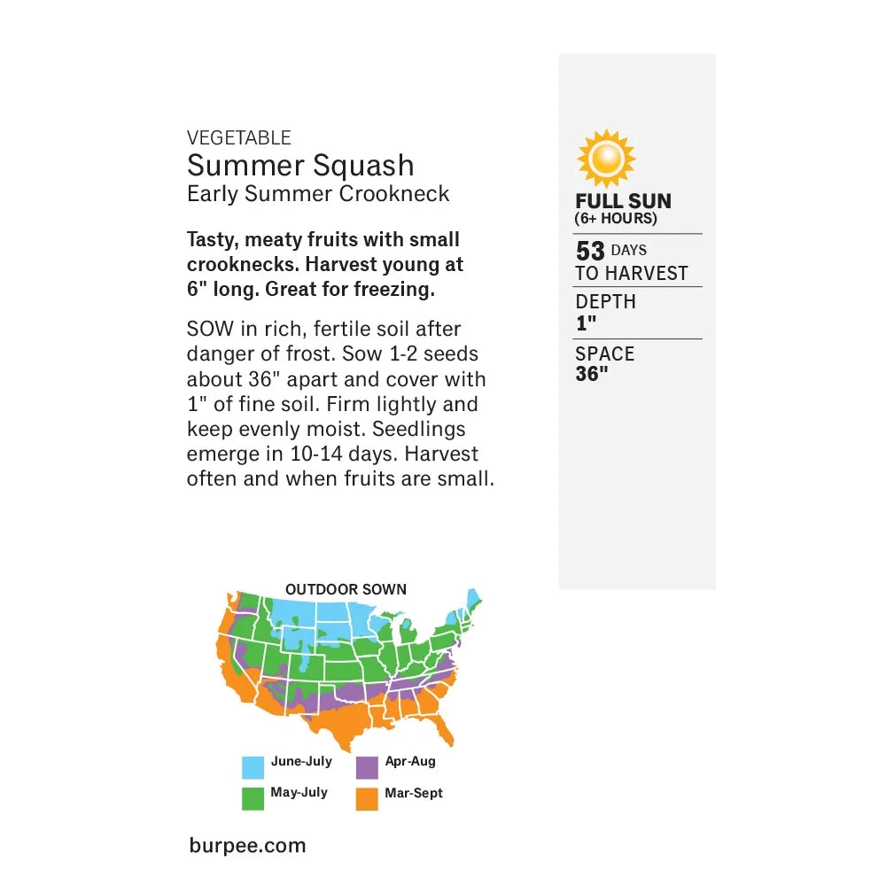 Squash Early Summer Crookneck - Burpee Seeds