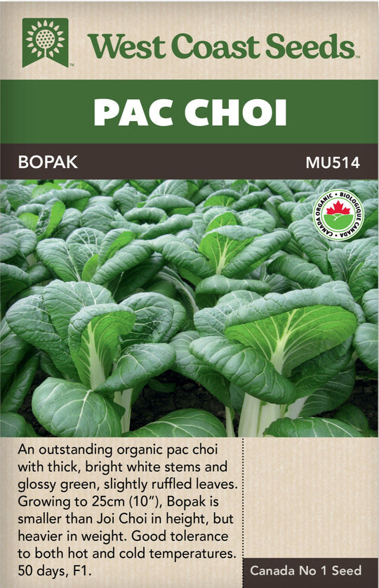 Organic Pac Choi Bopak - West Coast Seeds