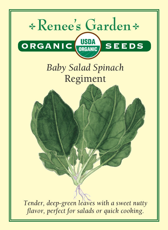 Organic Spinach Regiment - Renee's Garden