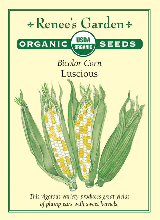 Organic Corn Luscious - Renee's Garden