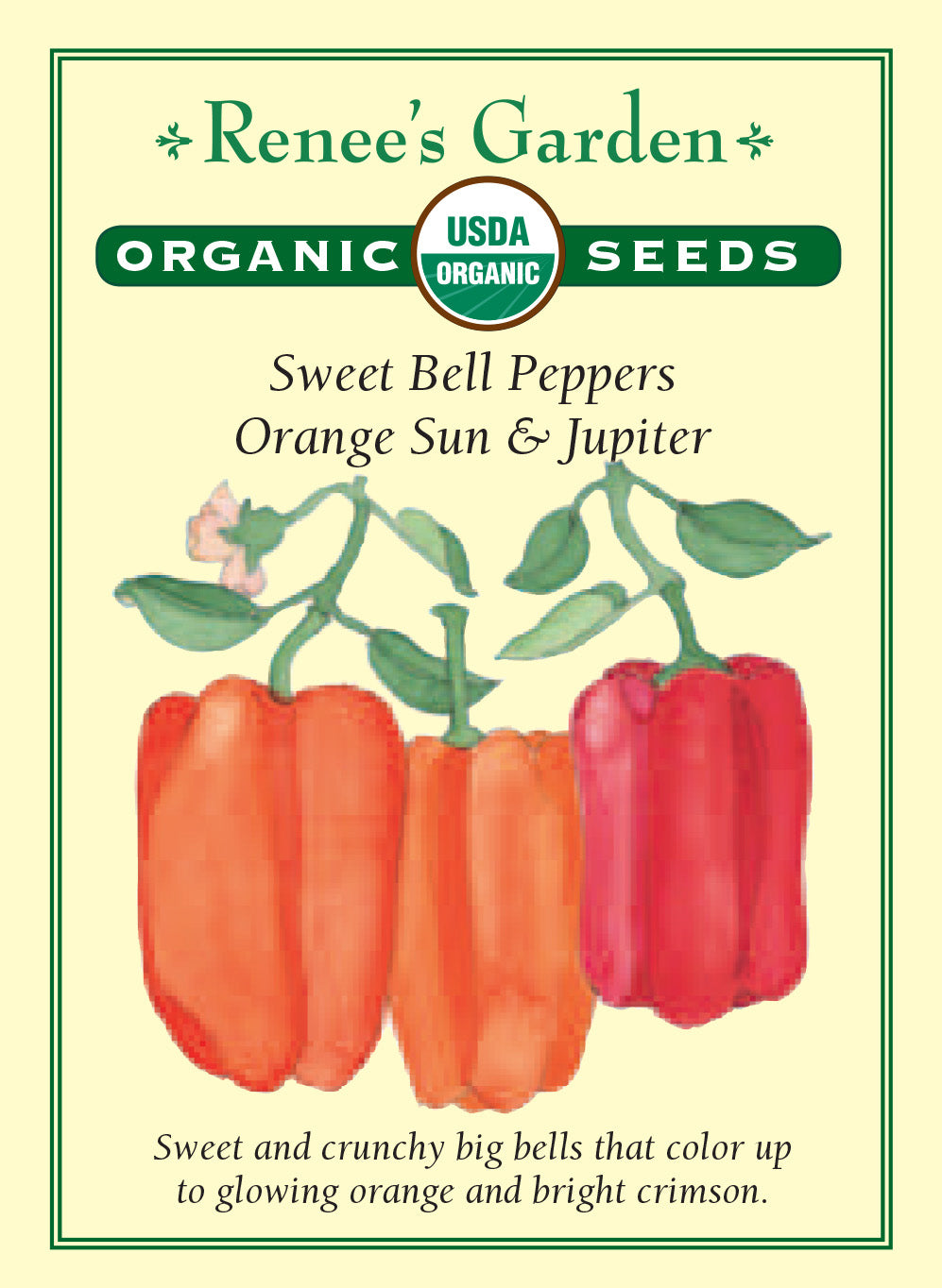 Organic Pepper Orange Sun & Jupiter - Renee's Garden