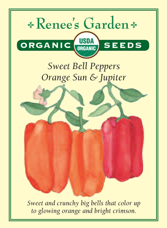 Organic Pepper Orange Sun & Jupiter - Renee's Garden