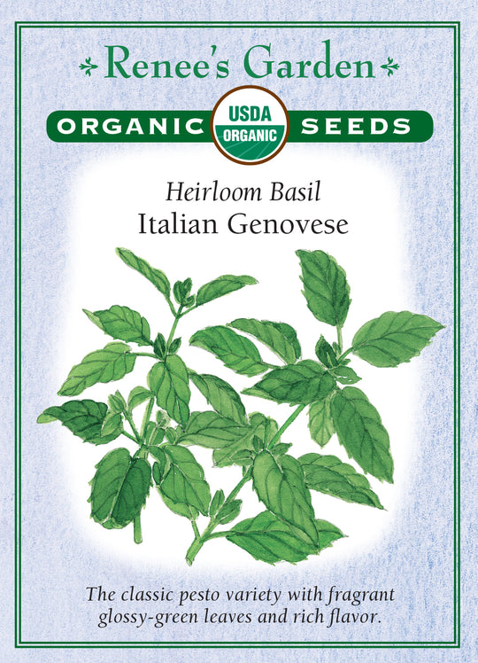 Organic Basil Italian Genovese - Renee's Garden