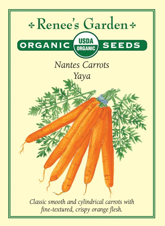 Organic Carrot Yaya - Renee's Garden