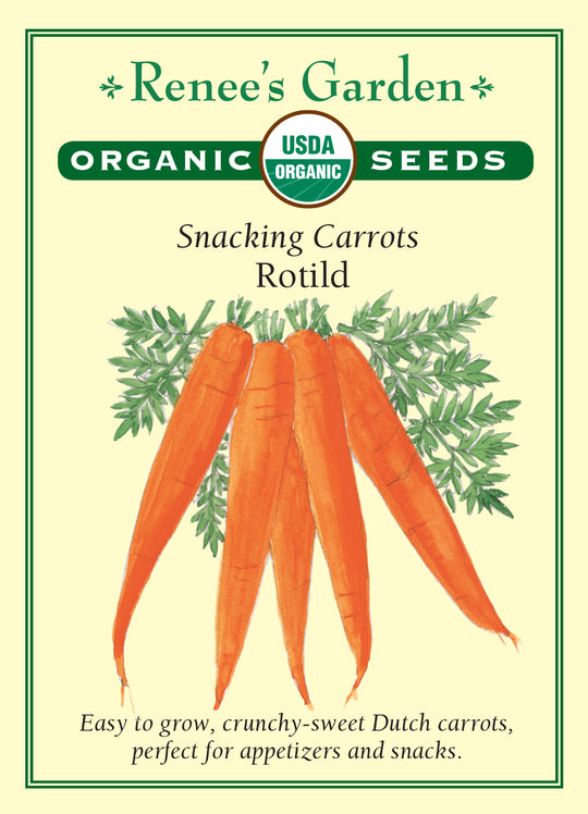 Organic Carrot Rotild - Renee's Garden