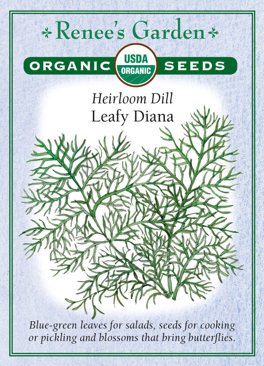 Organic Dill Leafy Diana - Renee's Garden