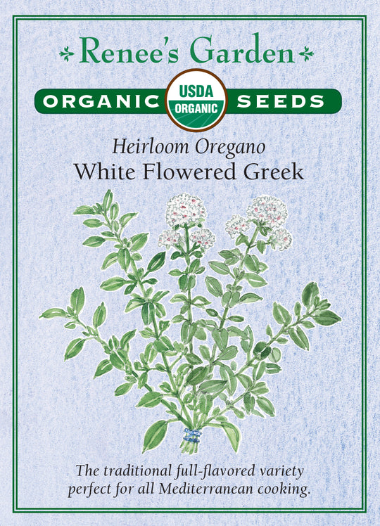 Organic Oregano White Flowered Greek - Renee's Garden