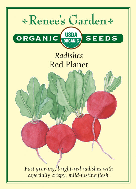 Organic Radish Red Planet - Renee's Garden