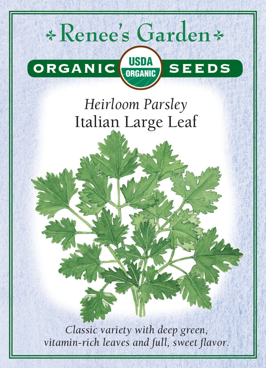 Organic Parsley Italian Large Leaf - Renee's Garden