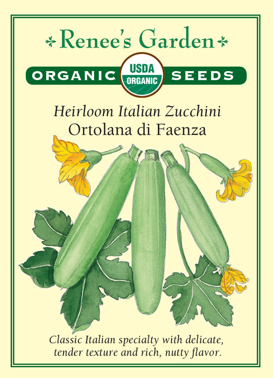 Organic Zucchini Ortolana di Faenza - Renee's Garden
