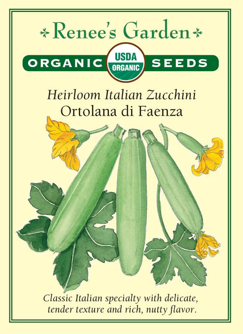 Organic Zucchini Ortolana di Faenza - Renee's Garden