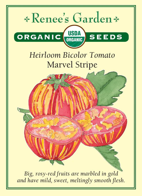 Organic Tomato Marvel Stripe - Renee's Garden