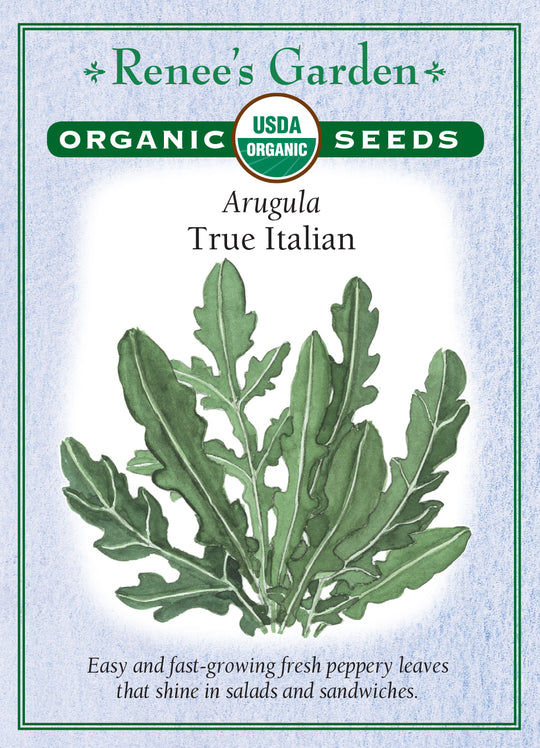 Organic Arugula True Italian - Renee's Garden