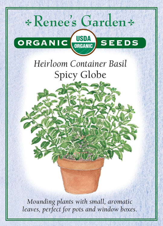 Organic Basil Spicy Globe - Renee's Garden