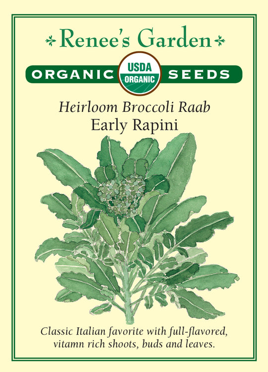 Organic Broccoli Early Rapini - Renee's Garden