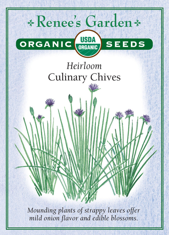 Organic Chives Culinary - Renee's Garden